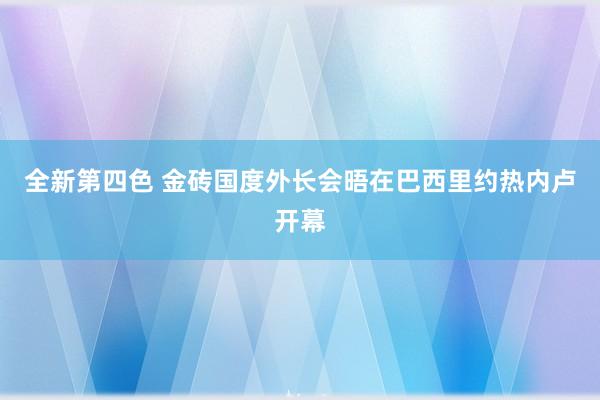 全新第四色 金砖国度外长会晤在巴西里约热内卢开幕