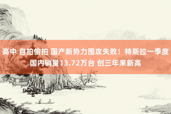 高中 自拍偷拍 国产新势力围攻失败！特斯拉一季度国内销量13.72万台 创三年来新高