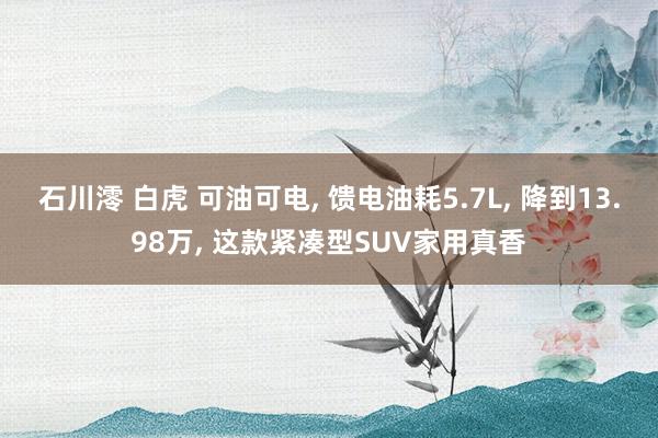 石川澪 白虎 可油可电， 馈电油耗5.7L， 降到13.98万， 这款紧凑型SUV家用真香