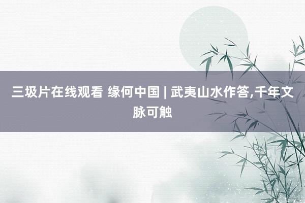 三圾片在线观看 缘何中国 | 武夷山水作答，千年文脉可触